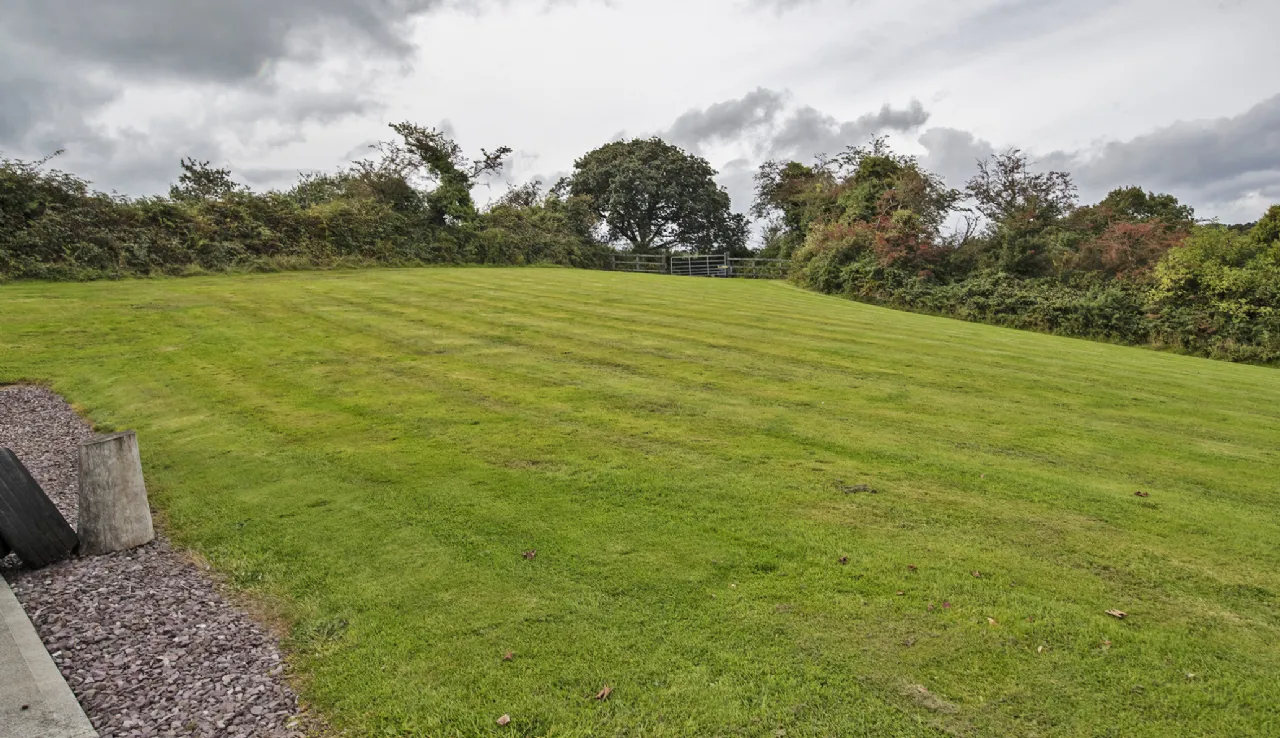 Photo of Lackendarra Larches, Ballinamult, Dungarvan, Co Waterford, E91V5W7