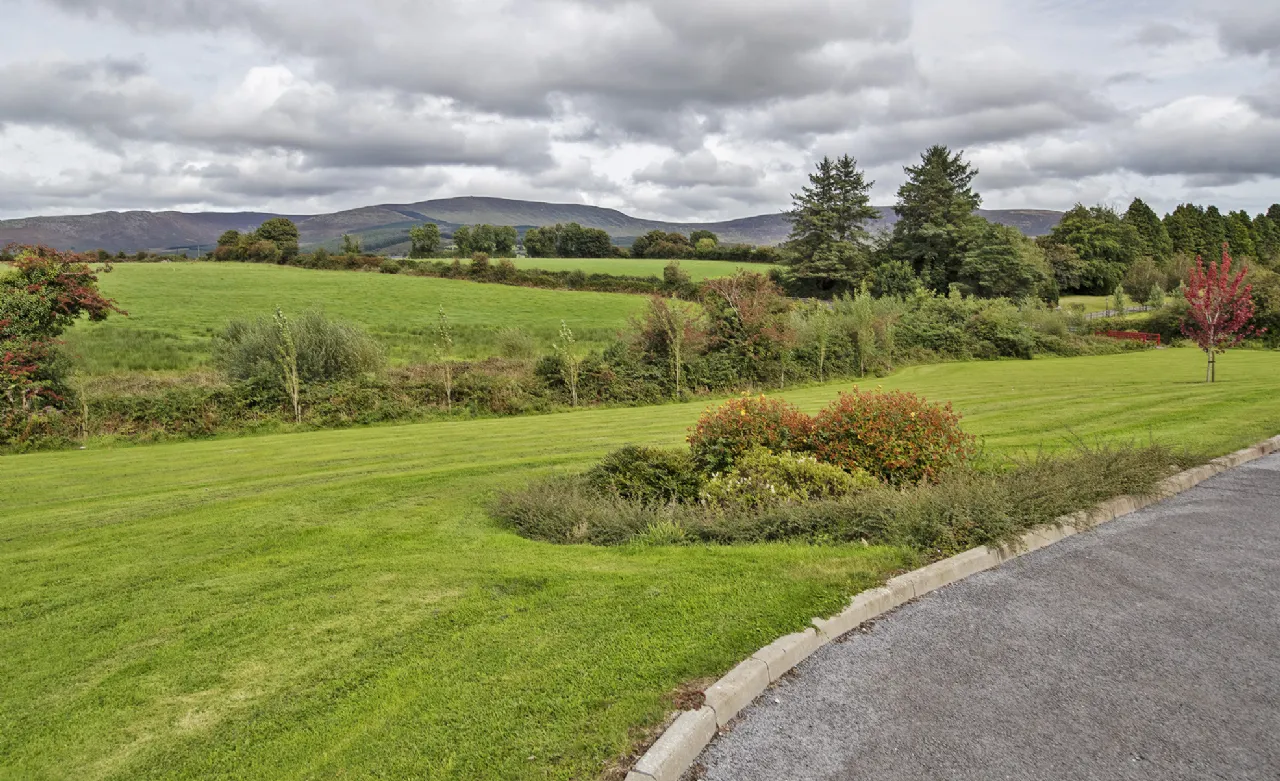 Photo of Lackendarra Larches, Ballinamult, Dungarvan, Co Waterford, E91V5W7