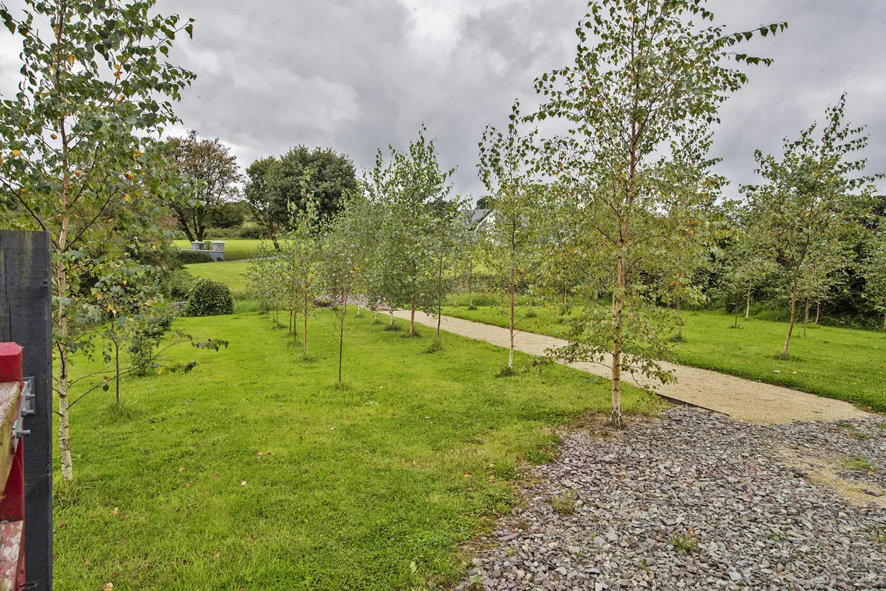 Photo of Lackendarra Larches, Ballinamult, Dungarvan, Co Waterford, E91V5W7