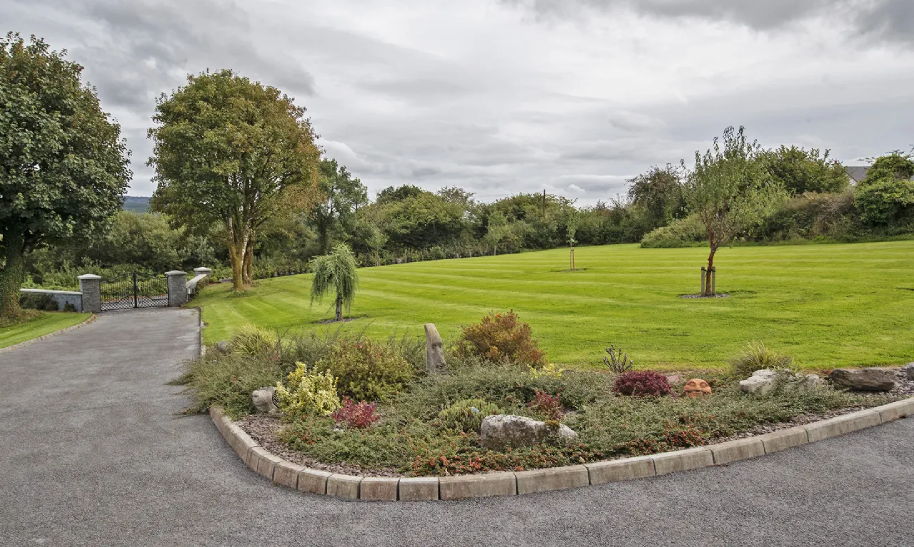 Photo of Lackendarra Larches, Ballinamult, Dungarvan, Co Waterford, E91V5W7