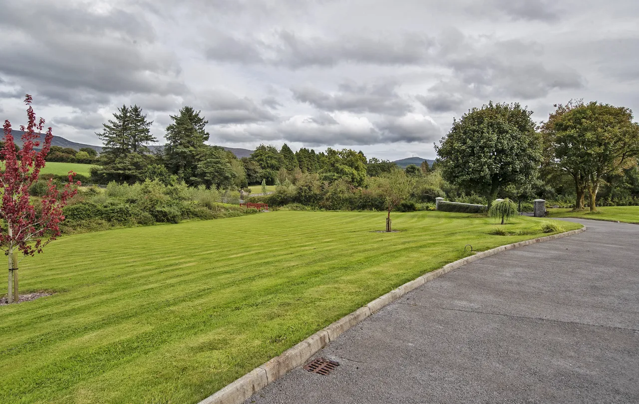 Photo of Lackendarra Larches, Ballinamult, Dungarvan, Co Waterford, E91V5W7