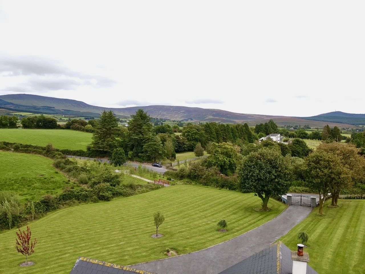 Photo of Lackendarra Larches, Ballinamult, Dungarvan, Co Waterford, E91V5W7
