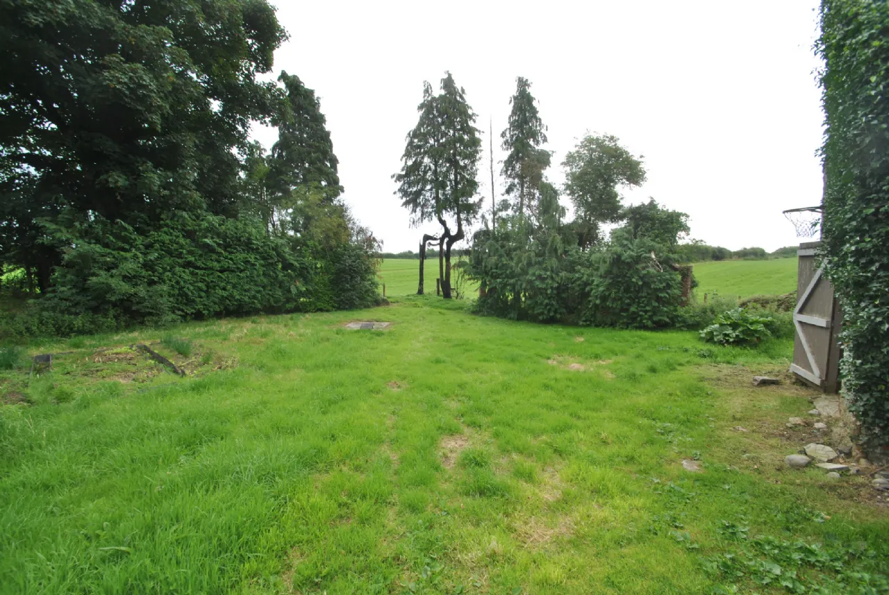 Photo of Cloonagh, Golden Grove, Roscrea, Co Tipperary, E53 FX61