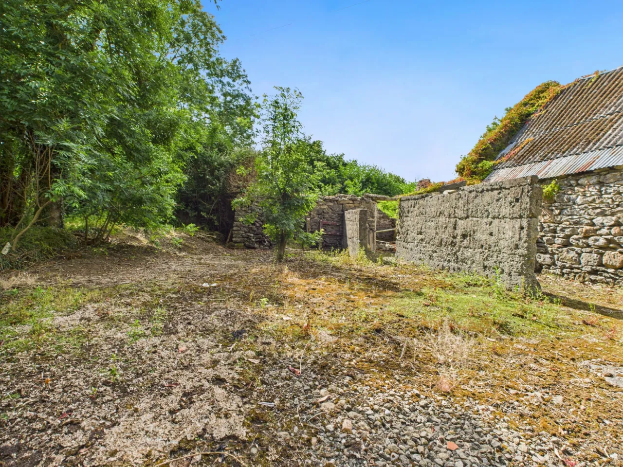 Photo of Cloonmoylan, Ballyshrule, Portumna, Co. Galway, H53 EY79