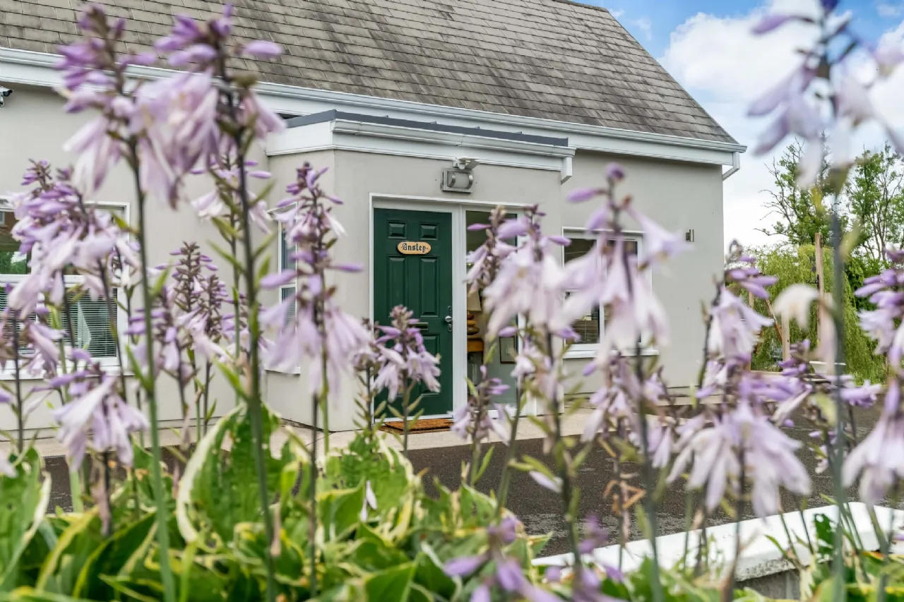 Photo of Ansley Lane, Drumelis, Cavan, Co. Cavan, H12 N485