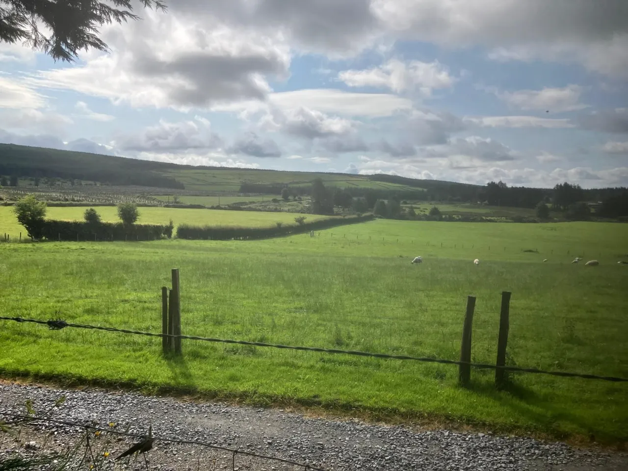 Photo of Ballinaguile, Kiltegan, Co. Wicklow, Chalet On 3.617, W91 T3F1