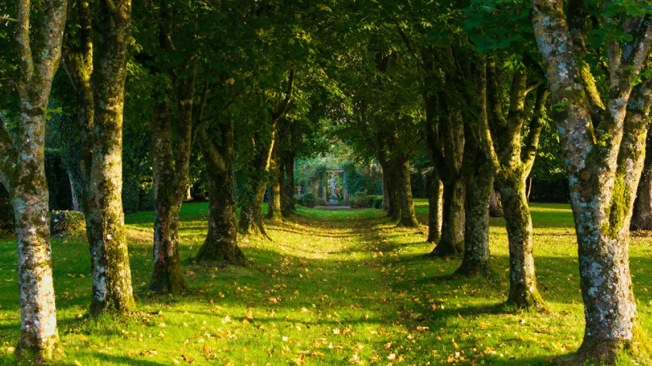 Photo of Ballysallagh House, Kilkenny, County Kilkenny, R95 A6P1