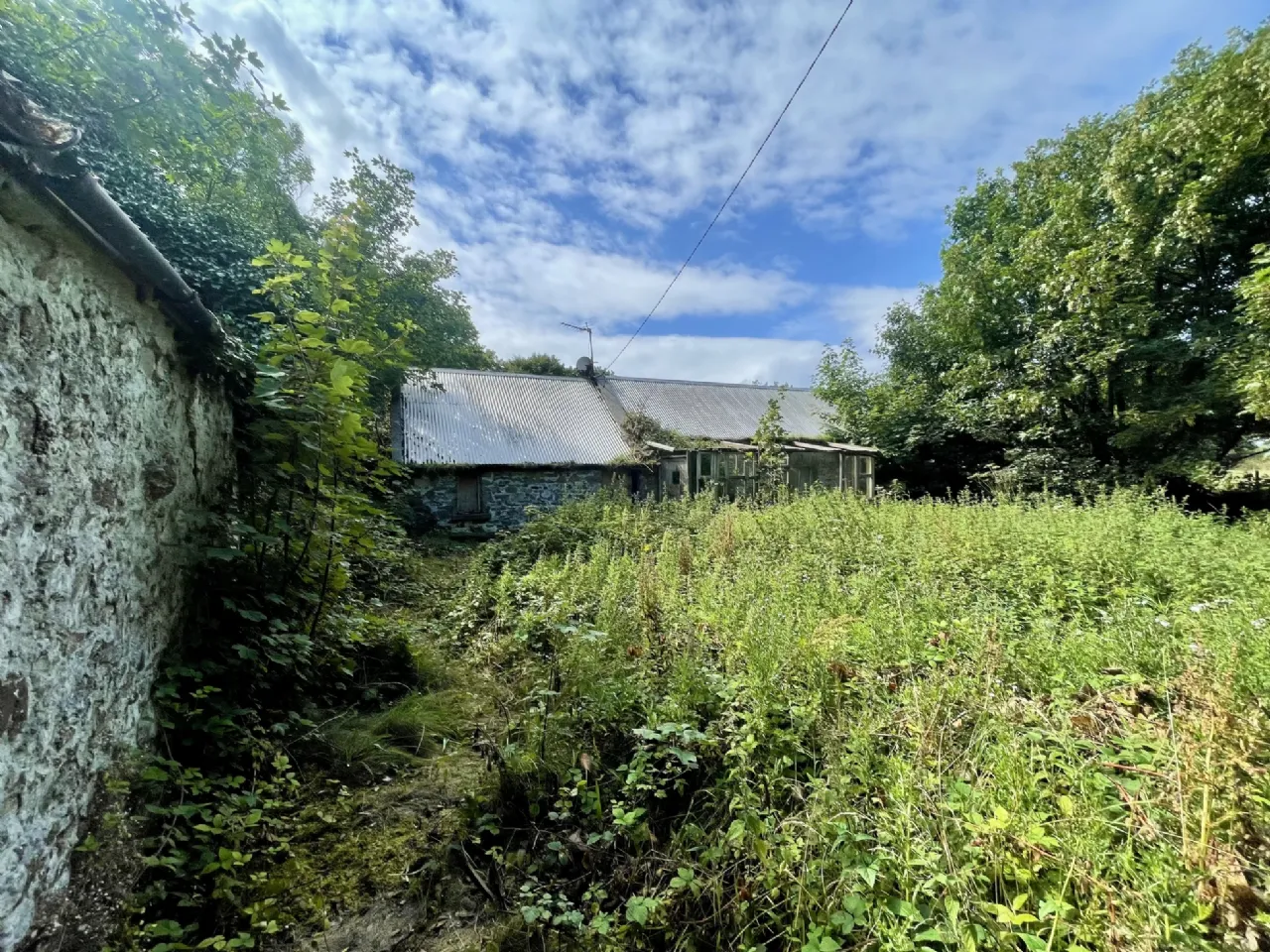 Photo of Site With Dwelling & Outbuildings, Ballyvooney, Stradbally, Co Waterford