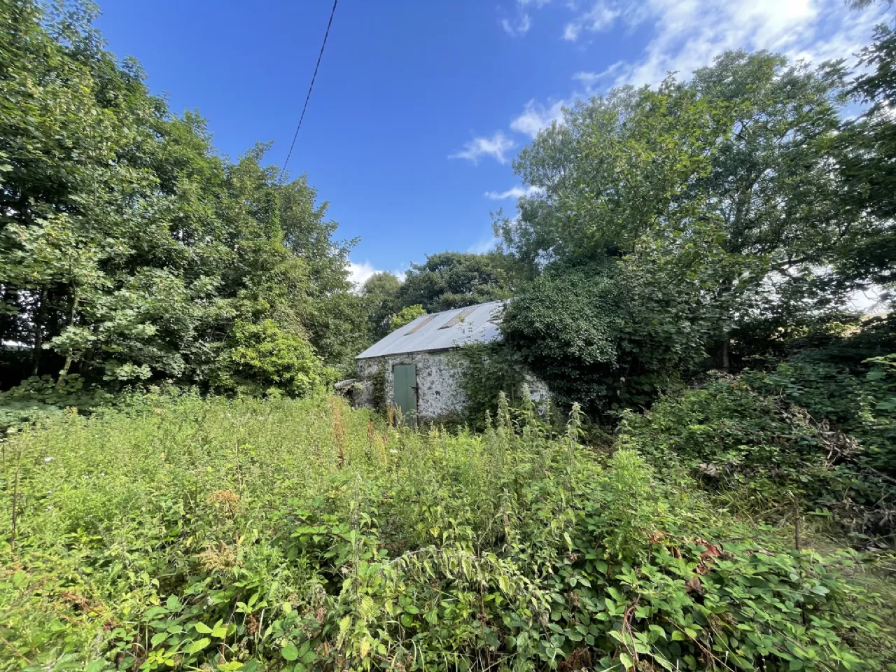 Photo of Site With Dwelling & Outbuildings, Ballyvooney, Stradbally, Co Waterford