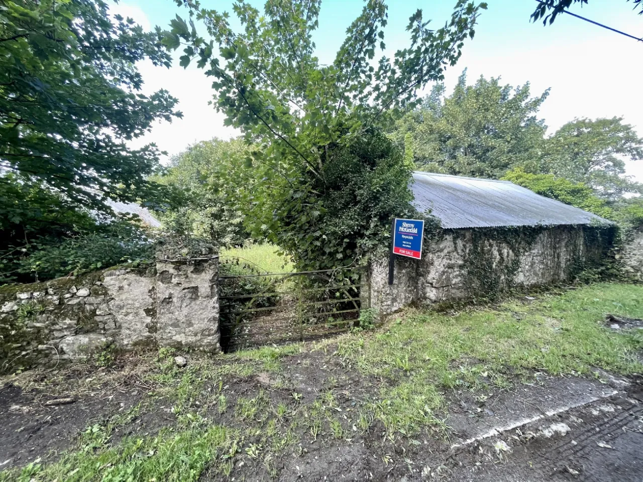 Photo of Site With Dwelling & Outbuildings, Ballyvooney, Stradbally, Co Waterford