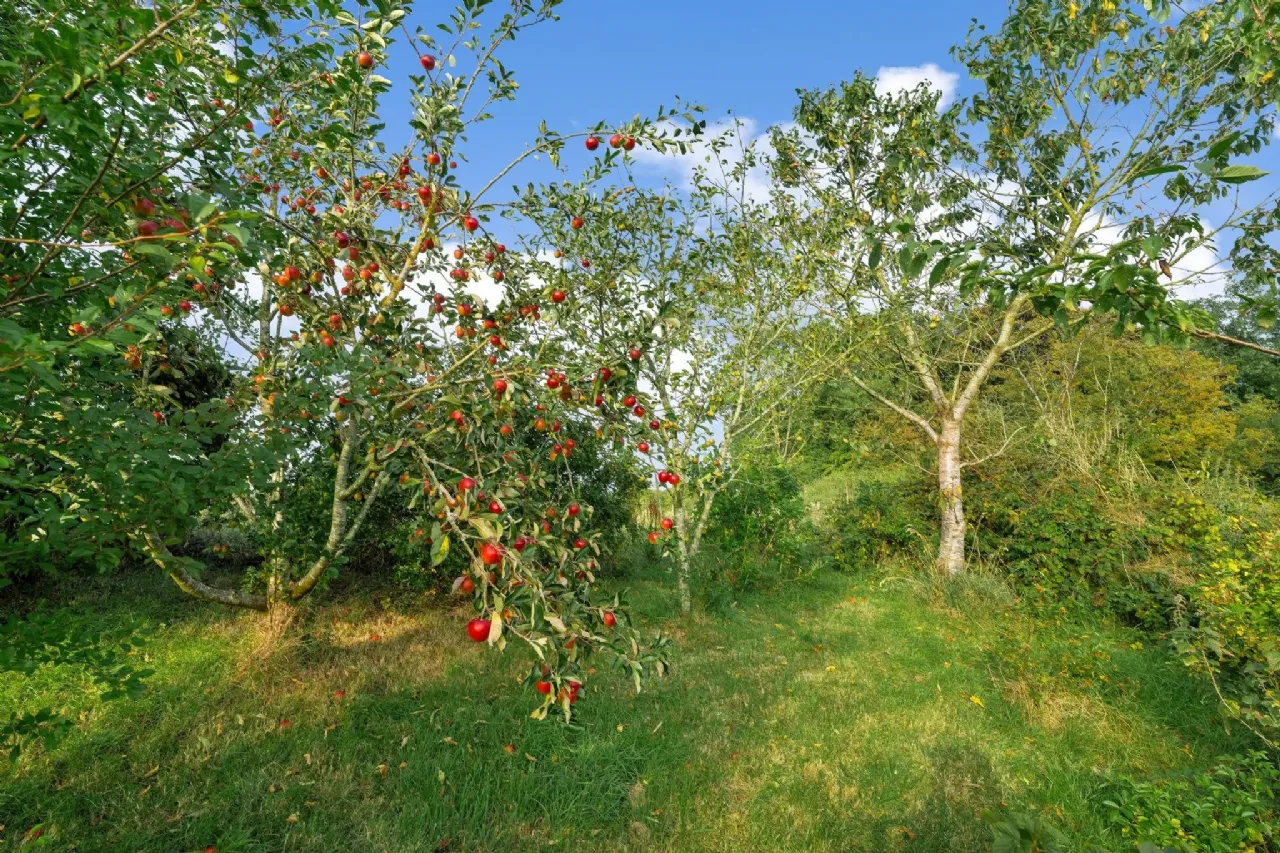 Photo of Raclaghy, Mountnugent, Co. Cavan, A82 A704