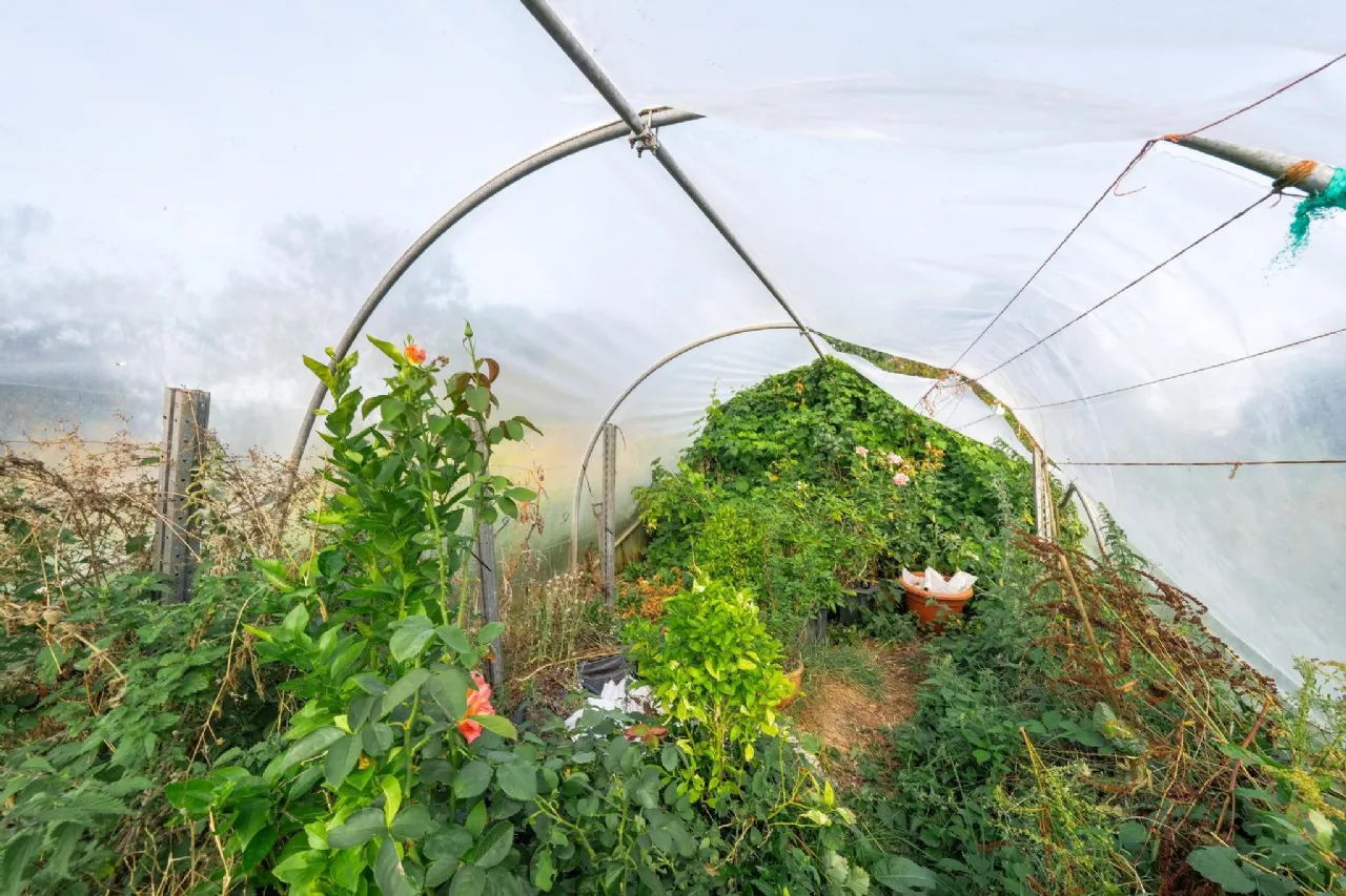 Photo of Raclaghy, Mountnugent, Co. Cavan, A82 A704