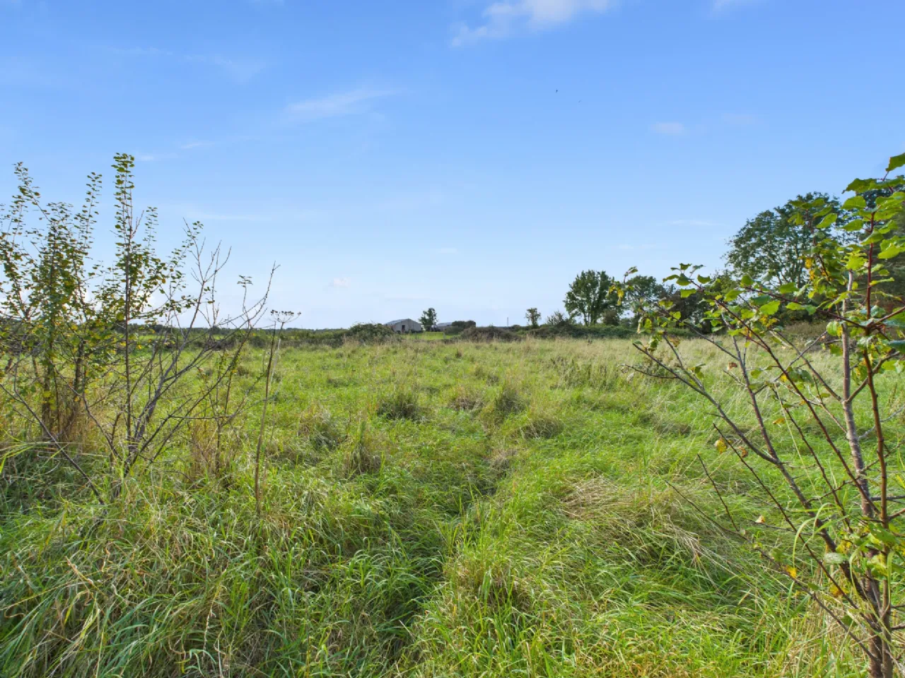 Photo of Sheeaun, Boula, Portumna, Co. Galway, H53 H2N1