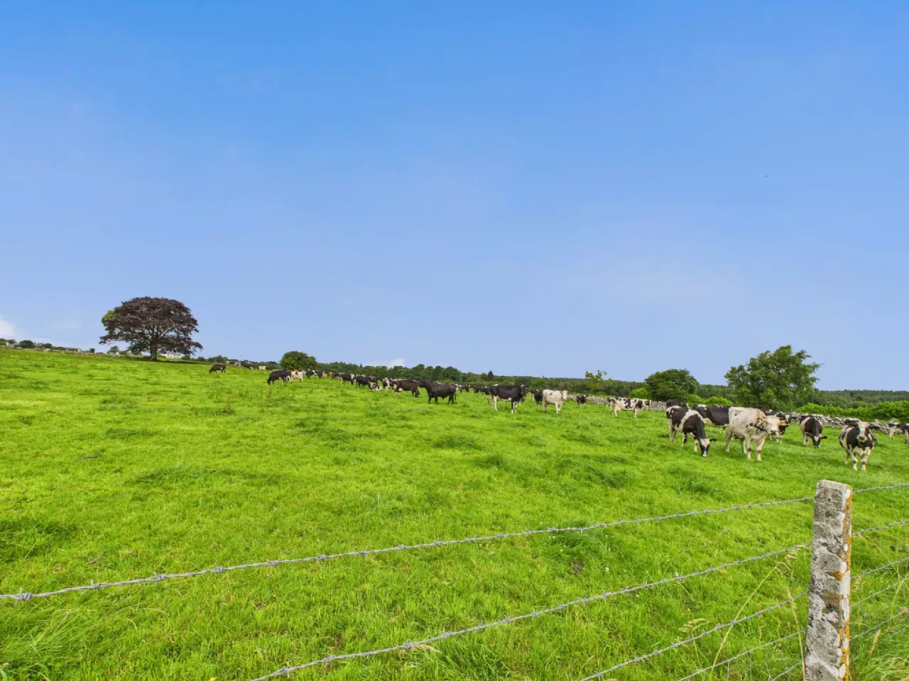 Photo of Carrownagower Lower, Carrabane, Athenry, Co. Galway, H65 Y592