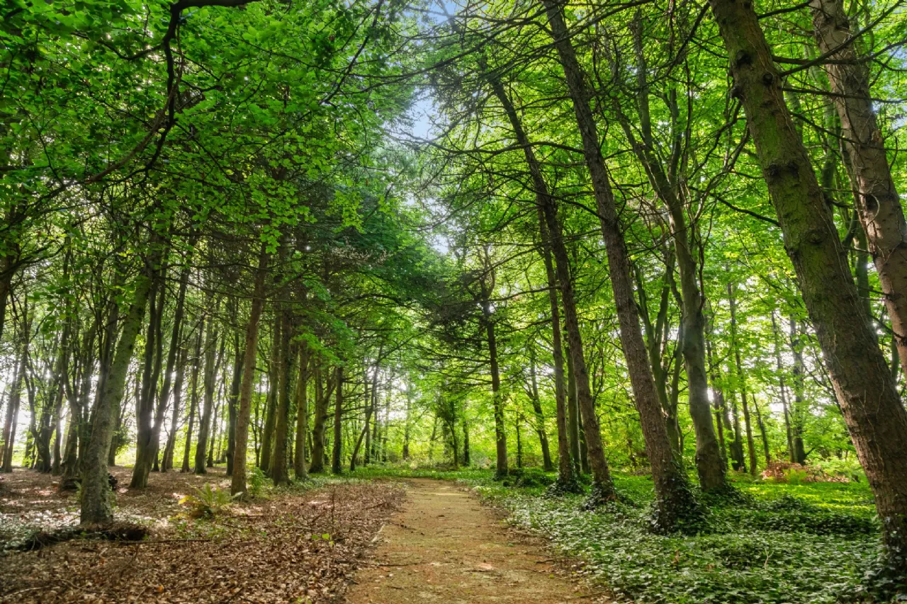 Photo of Emsworth, Malahide Road, Kinsealy, County Dublin, D17 EF98