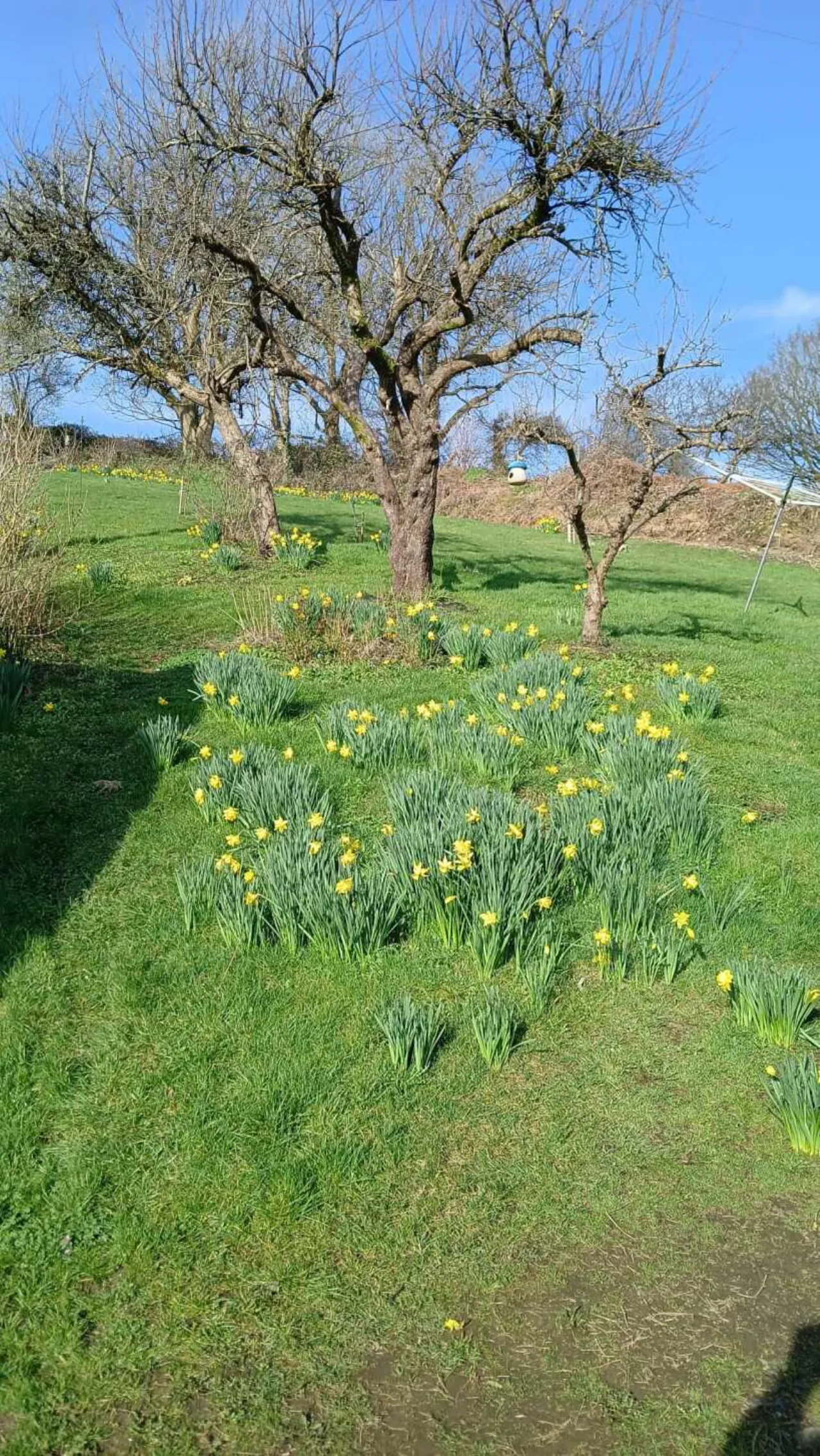 Photo of Ballinacor East, Kilbride, Co Wicklow, A67 HD73