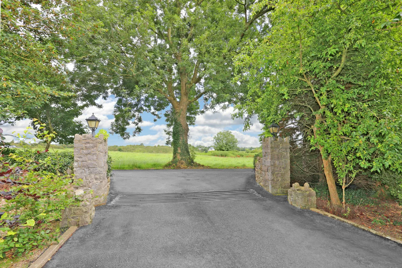 Photo of Dromlohan, Kilcornan, Pallaskenry, Co. Limerick, V94 AH1K