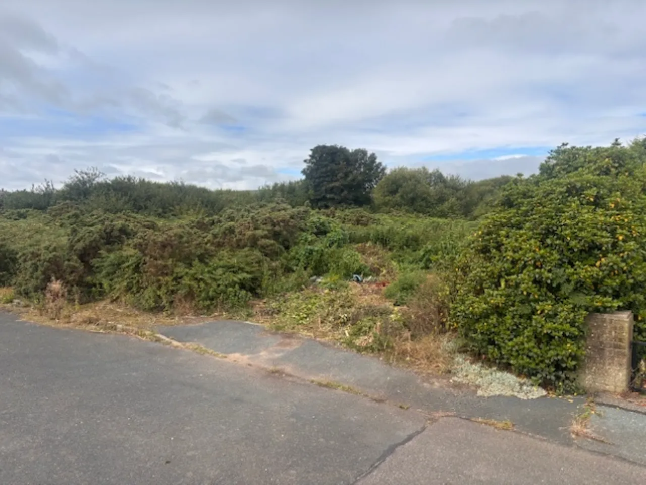 Photo of Cornagower East, Brittas Bay, Co Wicklow