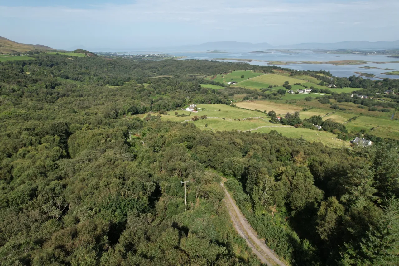 Photo of Site Sold SPP, Cloona, Westport, Co Mayo