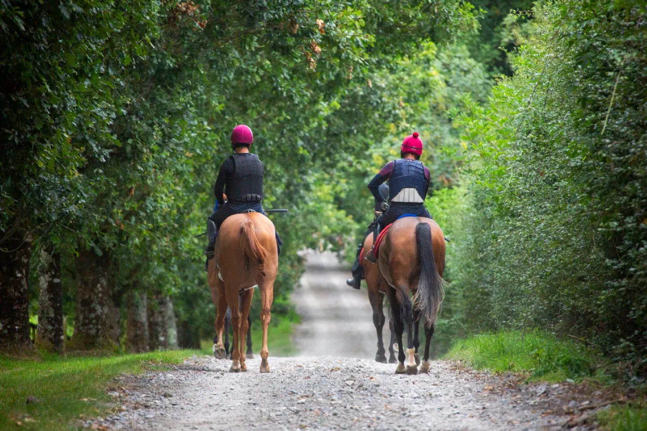 Photo of Killeens, Ballynonty, Thurles, Co. Tipperary, E41 X0T2