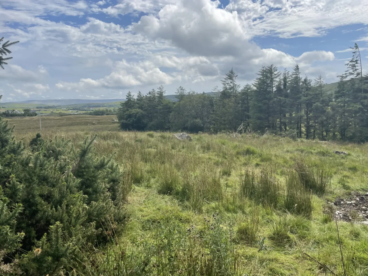 Photo of Site SPP, Glynsk, Liscarney, Westport, Co. Mayo