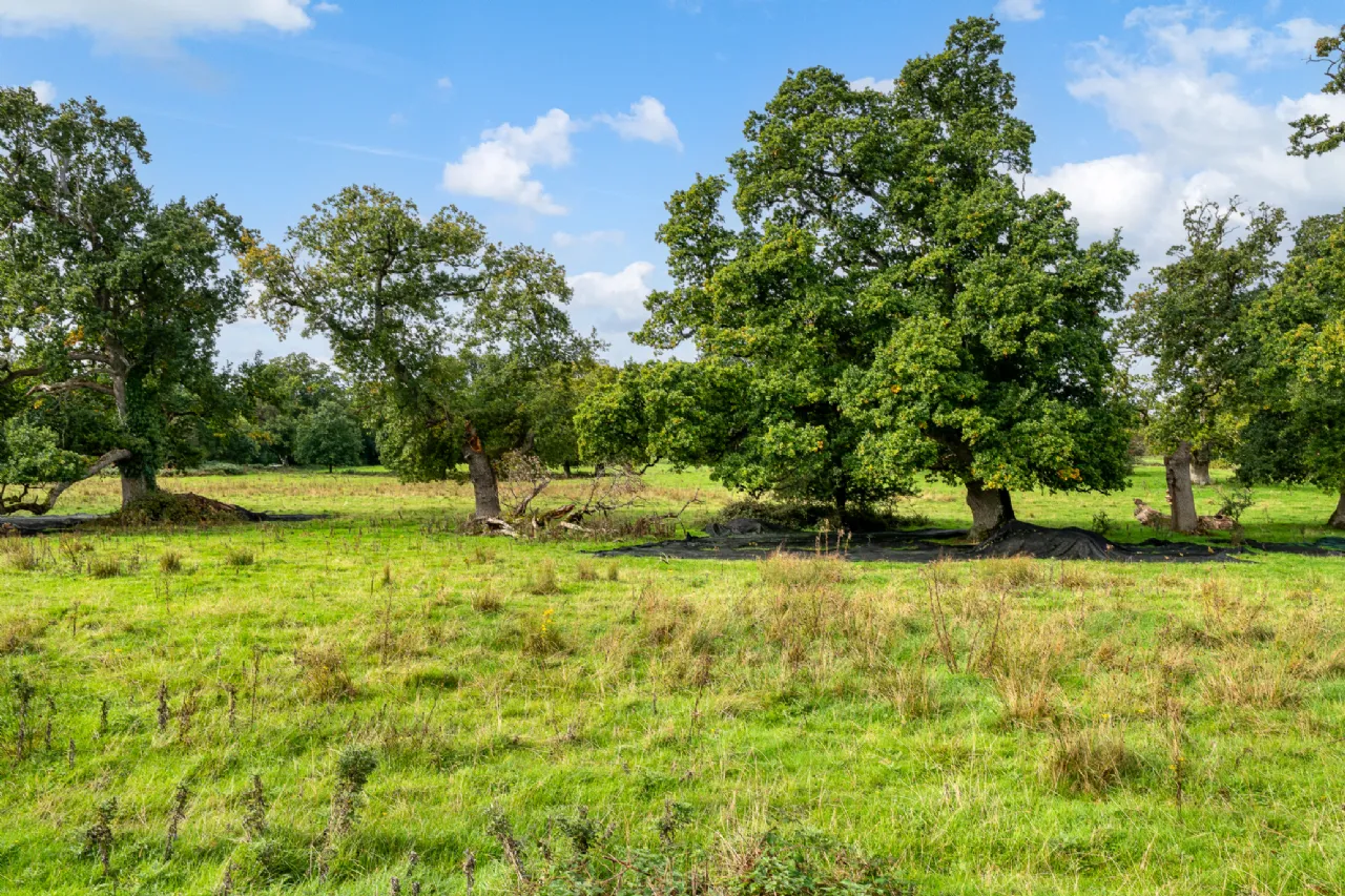 Photo of Charleville View, Tullamore, Co Offaly, R35KO63