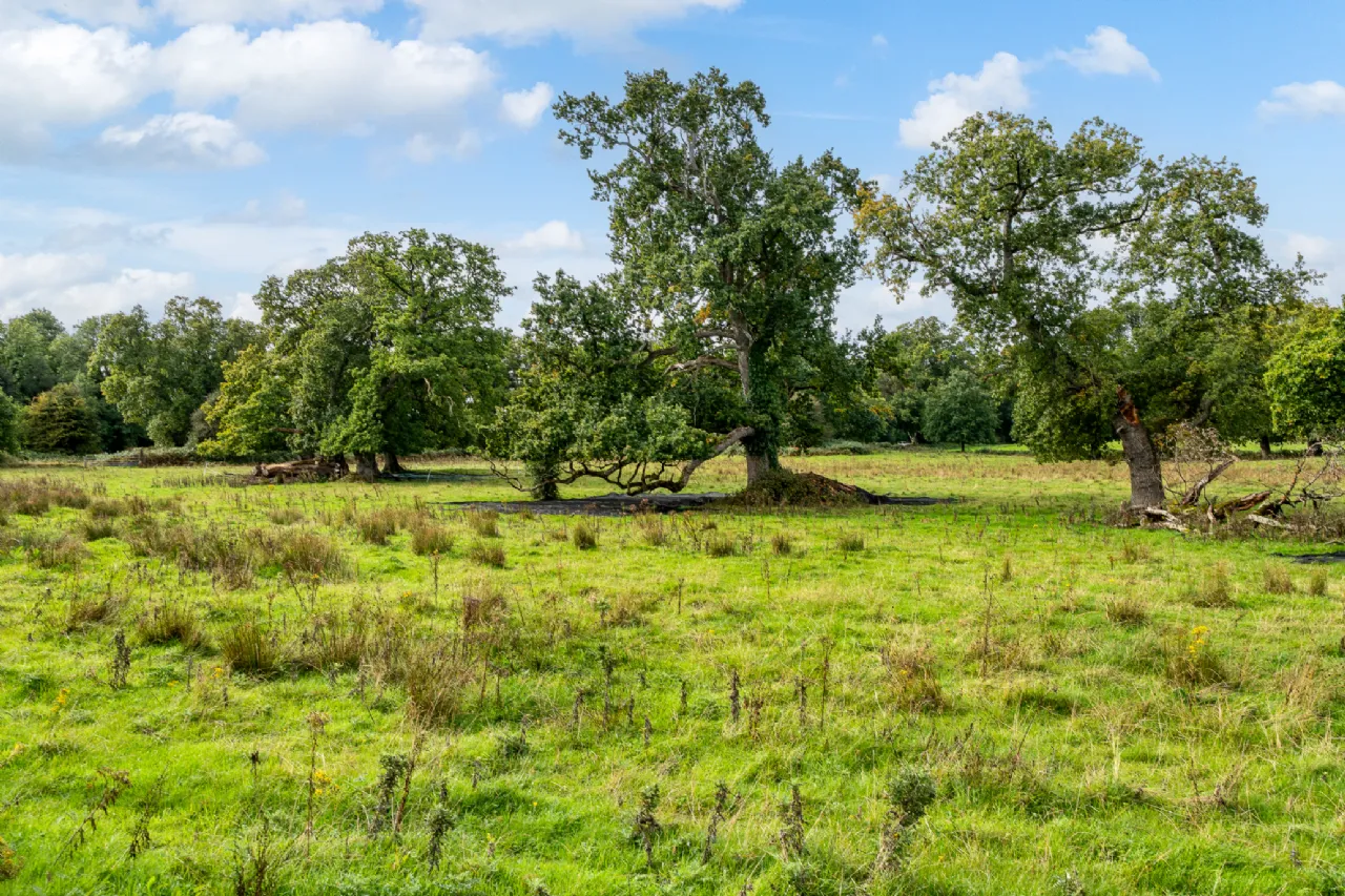 Photo of Charleville View, Tullamore, Co Offaly, R35KO63