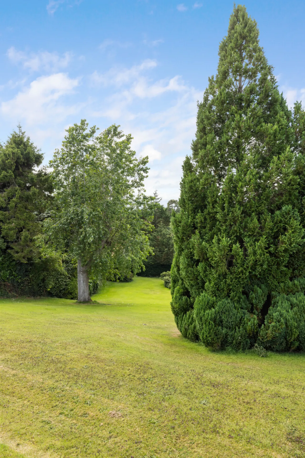 Photo of Carrabawn, 4 Sunnyhill Park, Cabinteely, Dublin 18, D18 H9W6