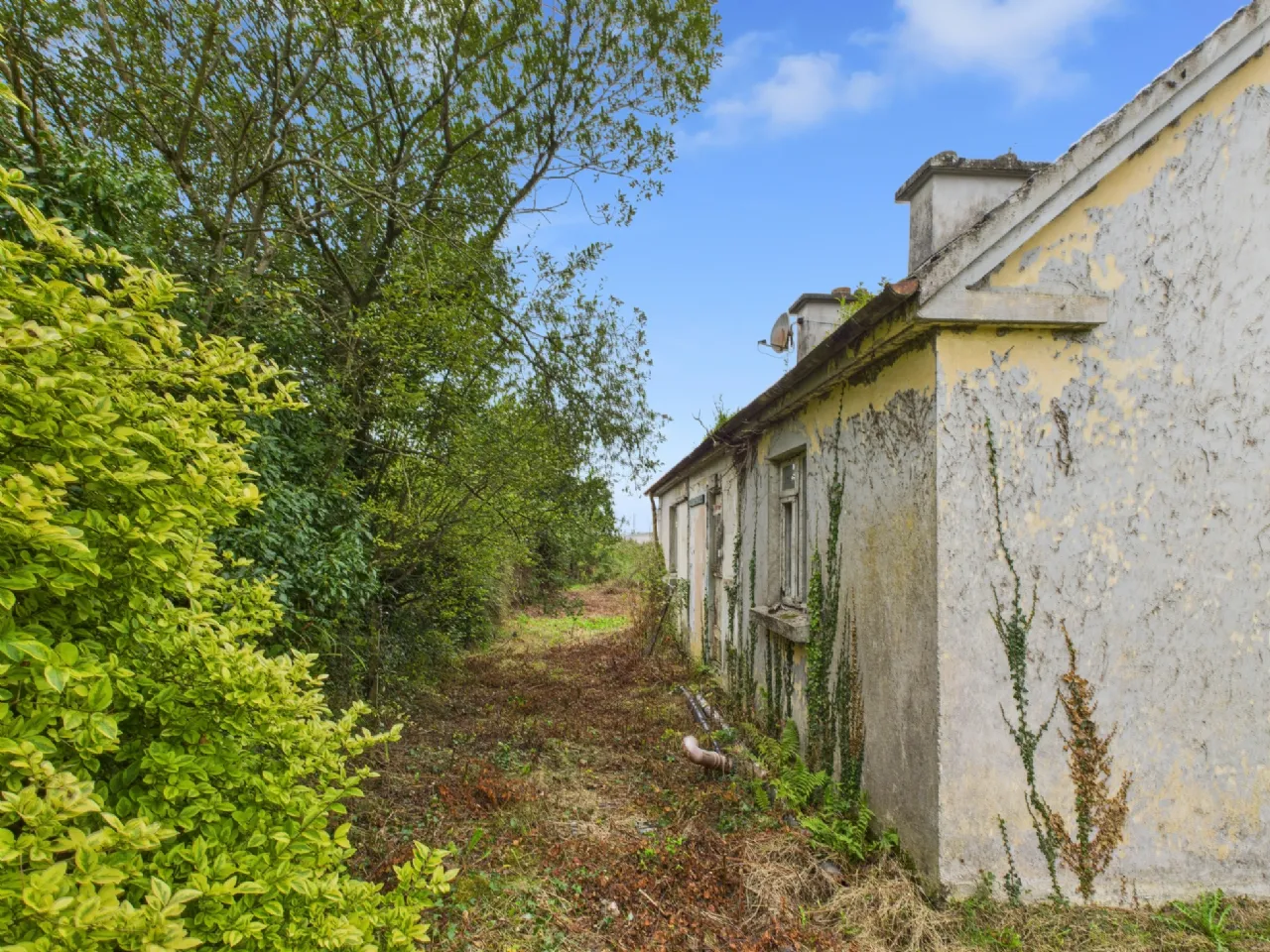 Photo of Woodpark, Portumna, Co. Galway, H53 HH60