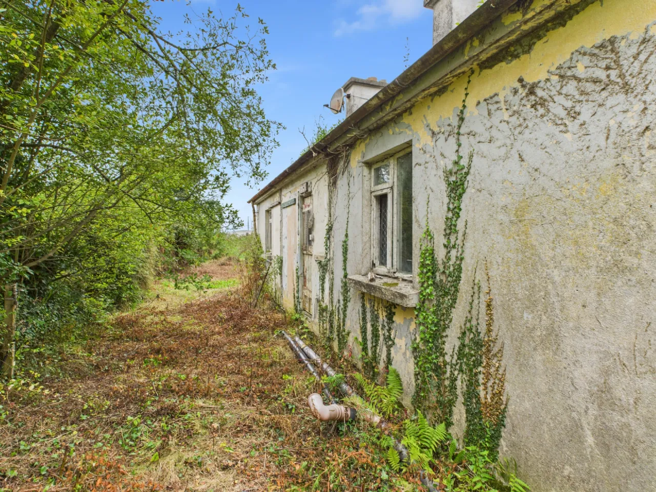 Photo of Woodpark, Portumna, Co. Galway, H53 HH60