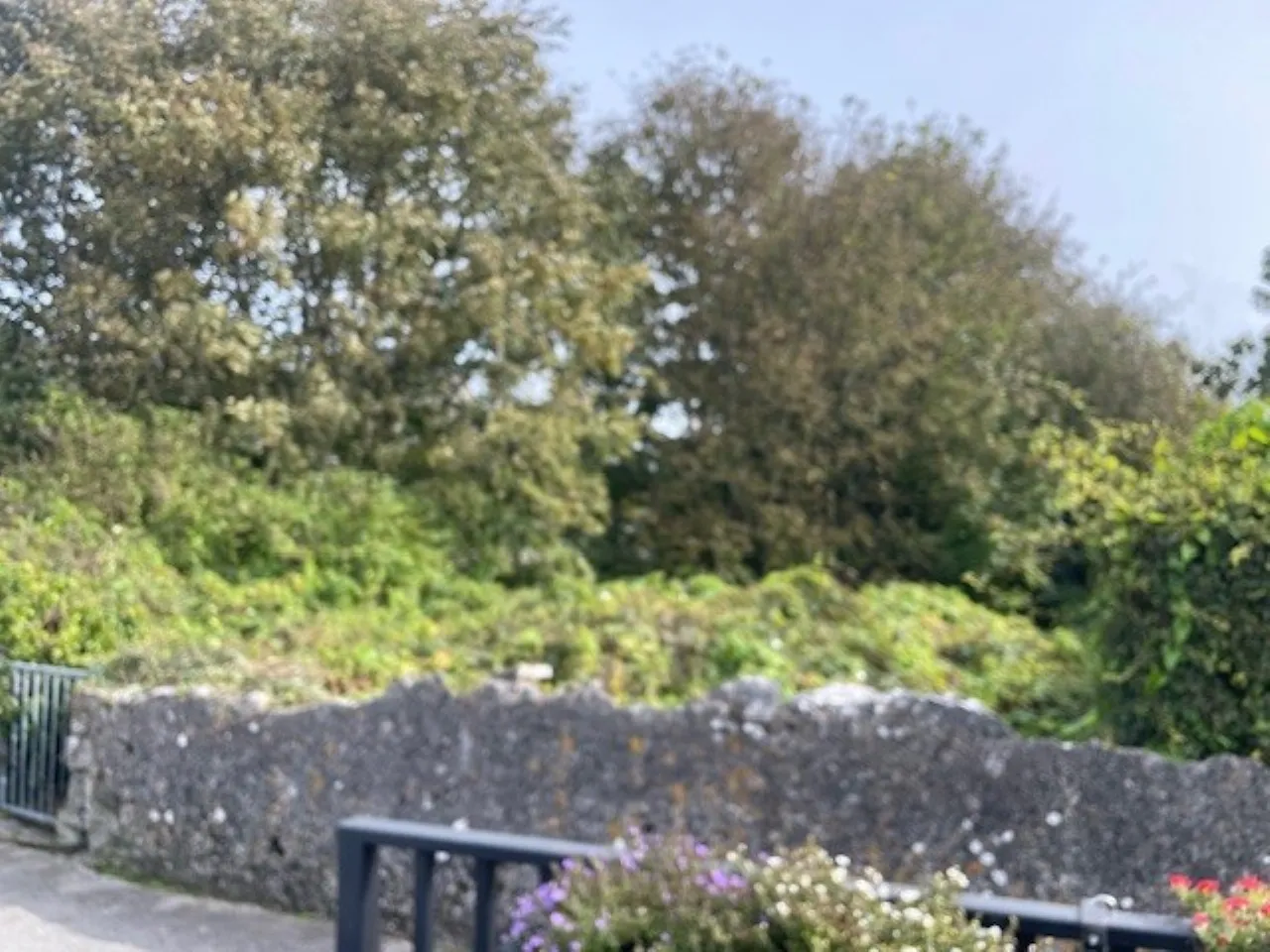 Photo of Site At, Main Street, Oranmore, Co Galway