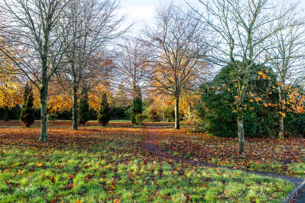 Photo of 8 Carraig Cluain, Tullamore, Co. Offaly, R35H7R7