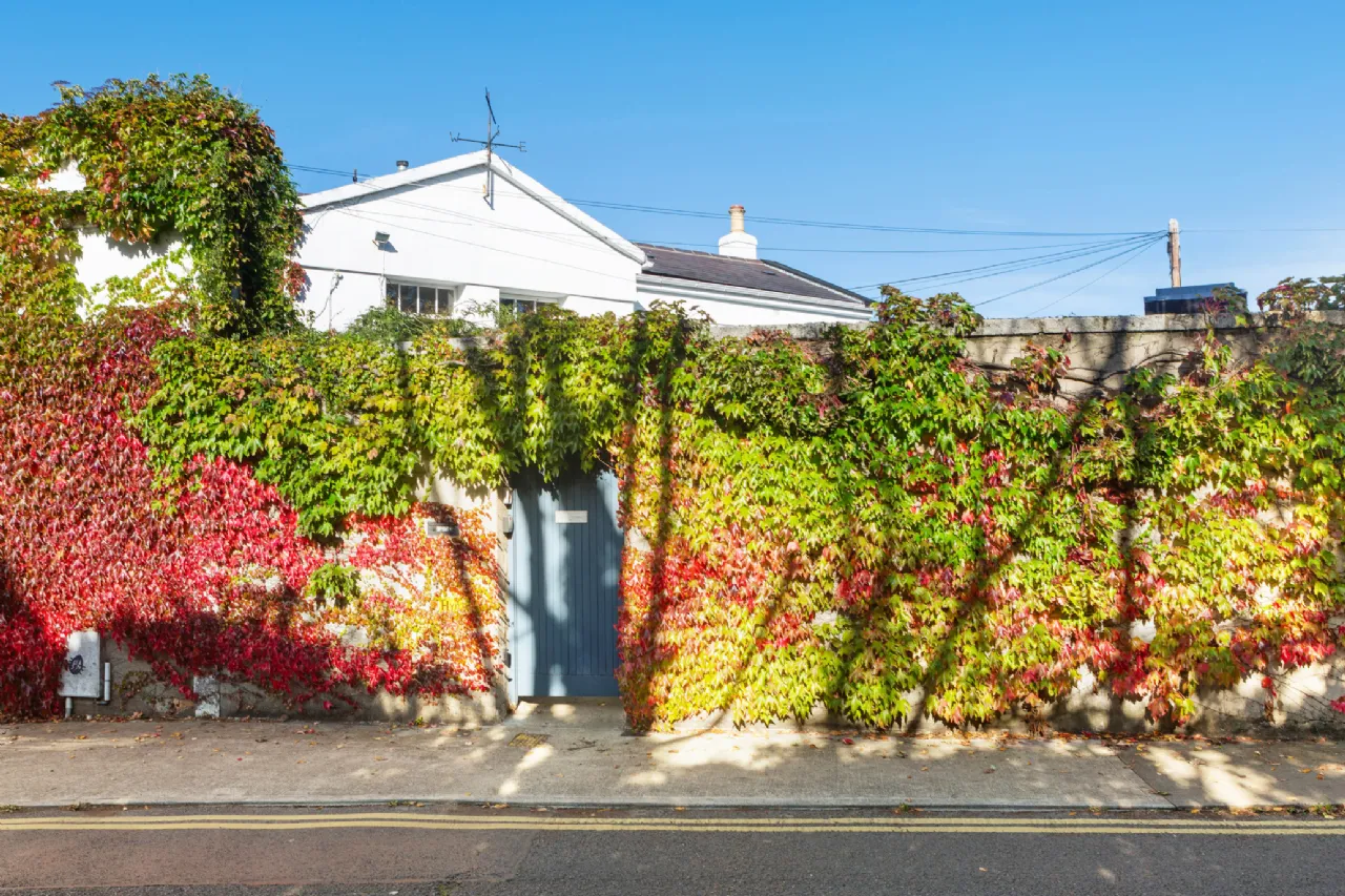 Photo of 11 De Vesci Terrace, Monkstown, Co Dublin, A96 A370