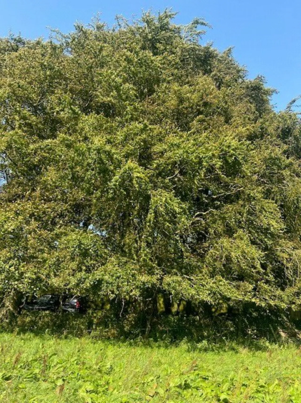 Photo of Ballagh Cross, Donadea, Co Kildare