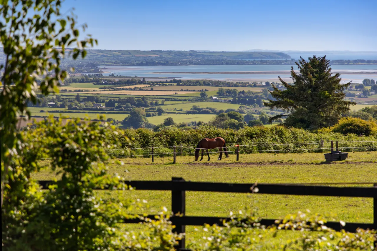 Photo of Hillside (On 5.4 Acres.), Glenbeg, Dungarvan, Co Waterford, X35 D732