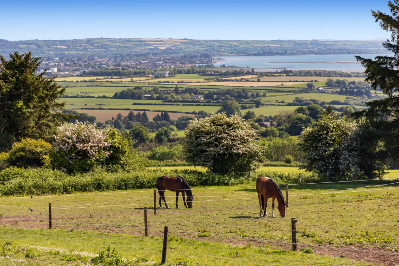 Photo of Hillside (On 5.4 Acres.), Glenbeg, Dungarvan, Co Waterford, X35 D732