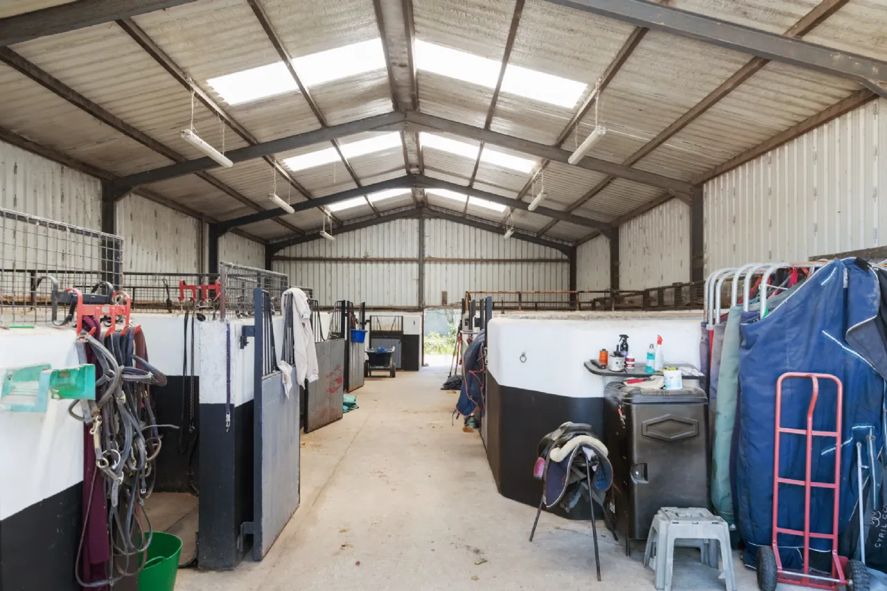 Photo of Hillside (On 5.4 Acres.), Glenbeg, Dungarvan, Co Waterford, X35 D732