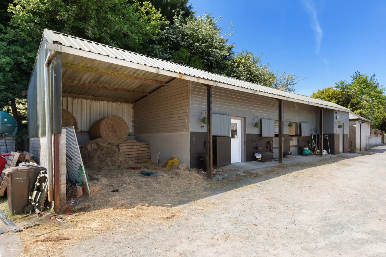 Photo of Hillside (On 5.4 Acres.), Glenbeg, Dungarvan, Co Waterford, X35 D732