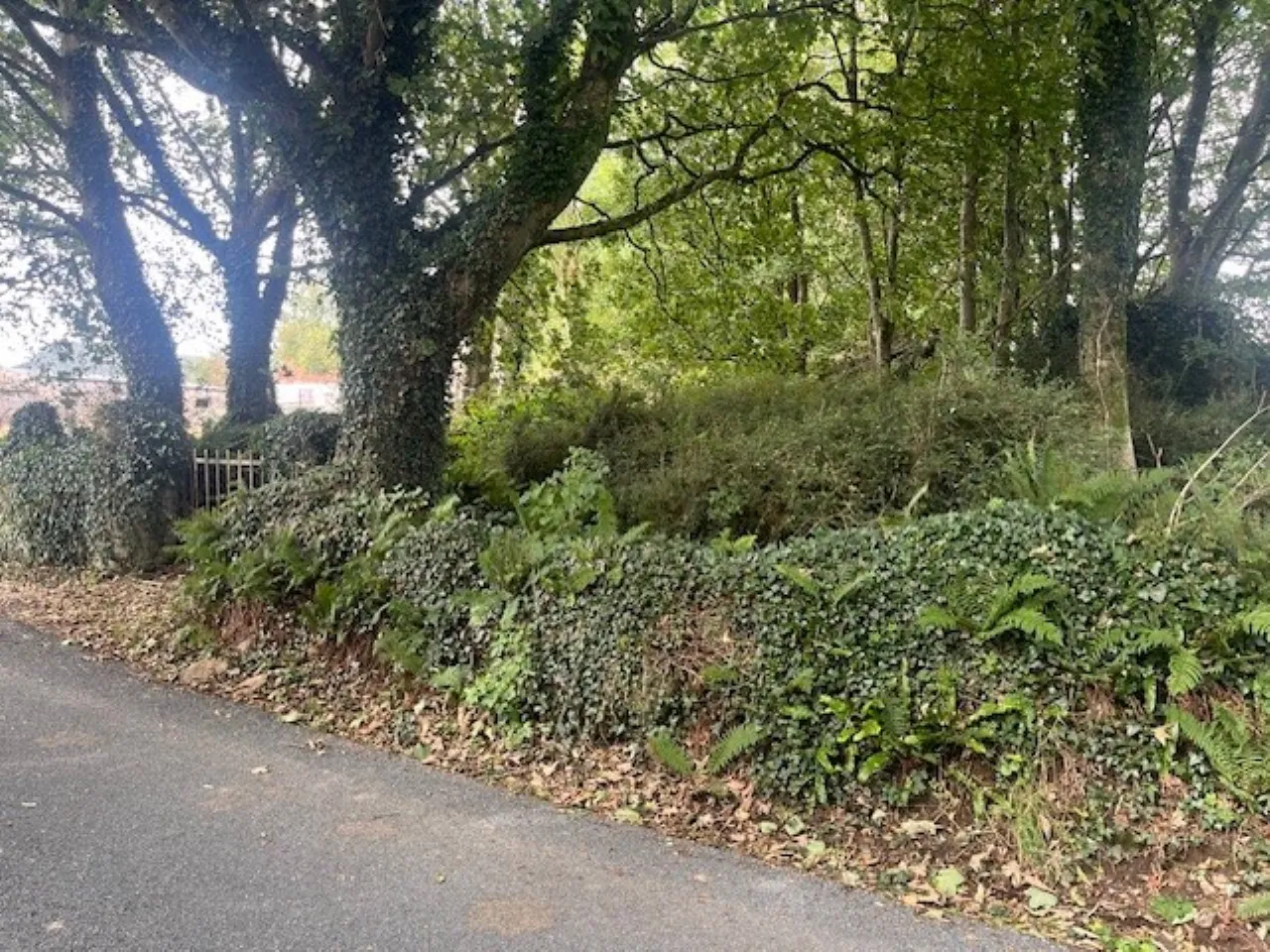 Photo of Camross (Site), Foulksmills, Co Wexford