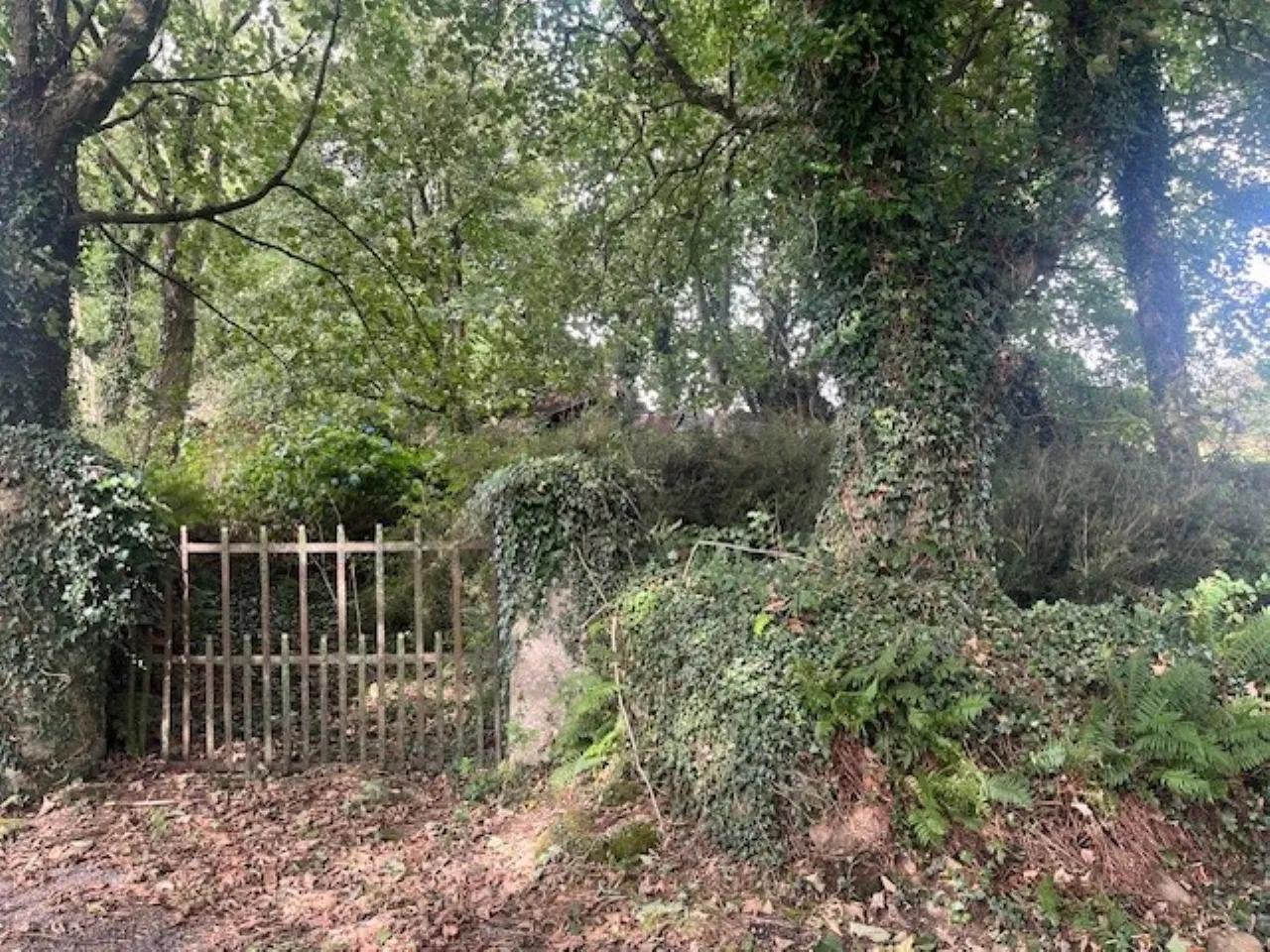 Photo of Camross (Site), Foulksmills, Co Wexford