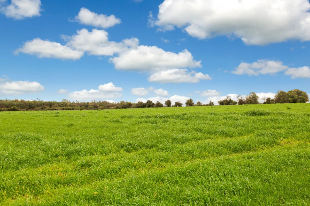 Photo of Lot 1 - Carrigeen Farm, Approx. 109.4 Ha (270.4 Acres), Cashel, County Tipperary, E25 F886