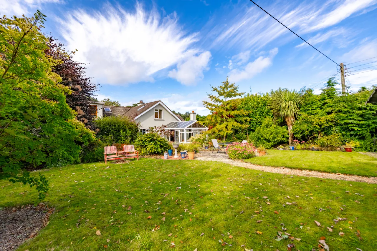Photo of Acer Trees, Kilmacomma, Clonmel, Co. Waterford, E91 X051