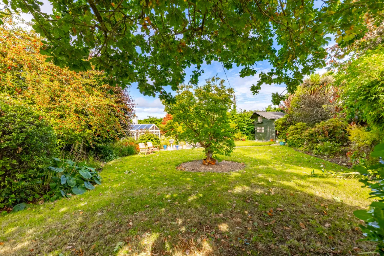 Photo of Acer Trees, Kilmacomma, Clonmel, Co. Waterford, E91 X051