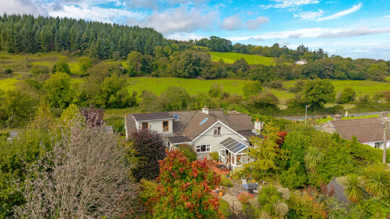 Photo of Acer Trees, Kilmacomma, Clonmel, Co. Waterford, E91 X051