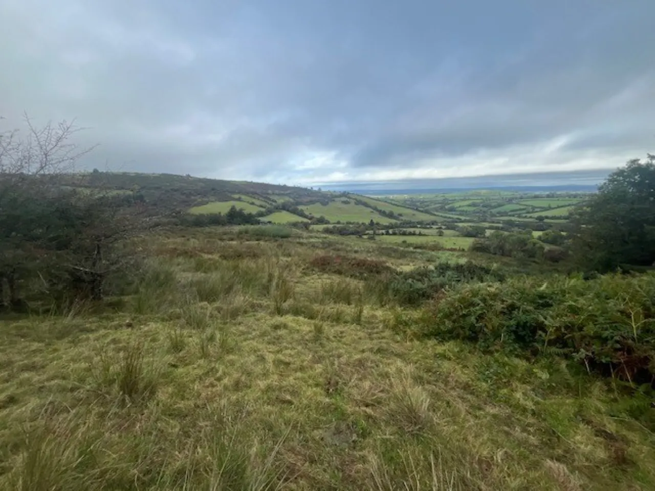 Photo of Bollingbrook, Dolla, Nenagh, Co. Tipperary