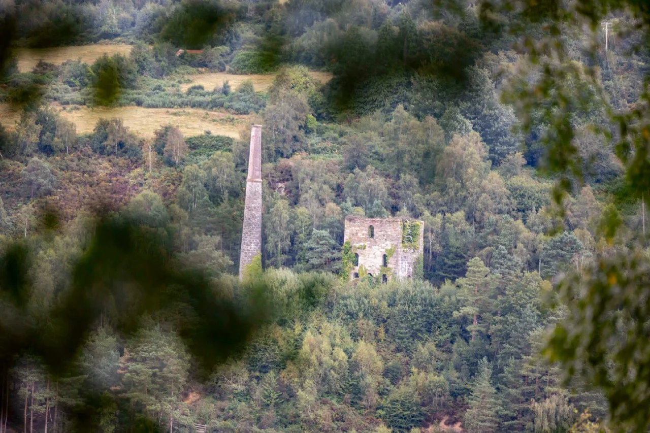 Photo of Rowan Lodge, Kilcashel, Avoca, Co Wicklow, Y14 RR24
