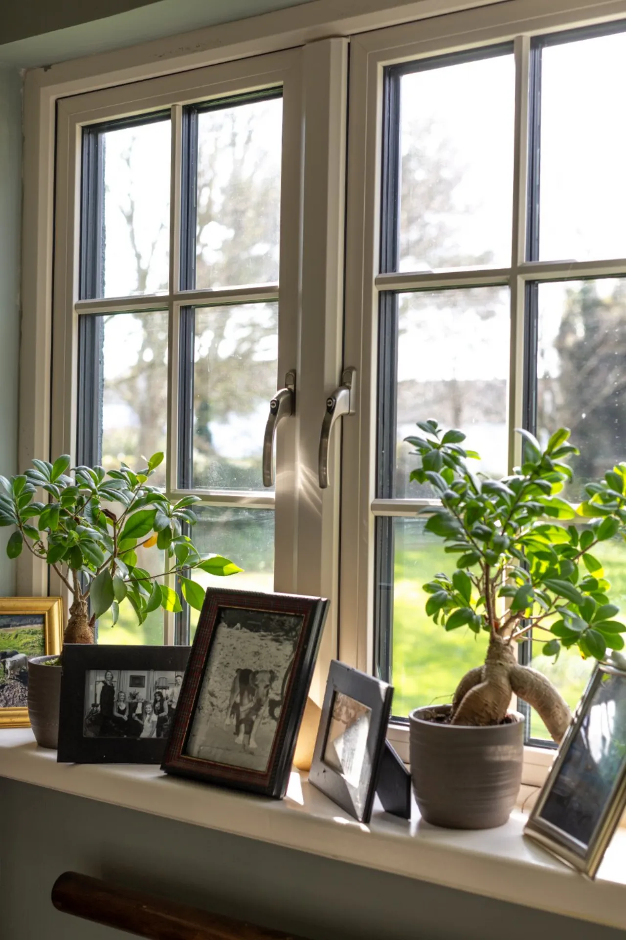 Photo of Silverwood, 38 Oaklands, Church Lane, Greystones, Co Wicklow, A63 VP38