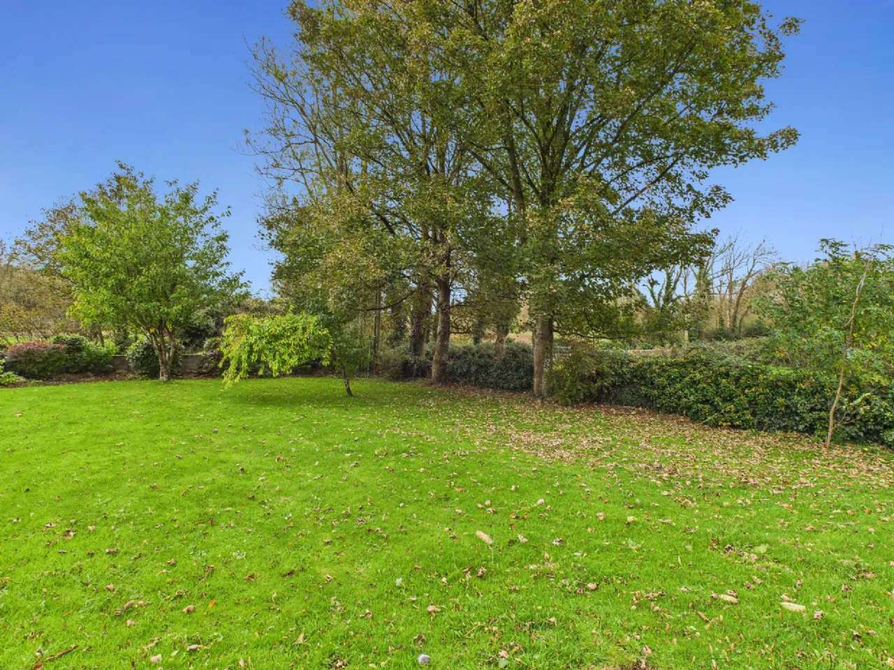 Photo of Knockadaumore, Loughrea, Co. Galway, H62 XY45