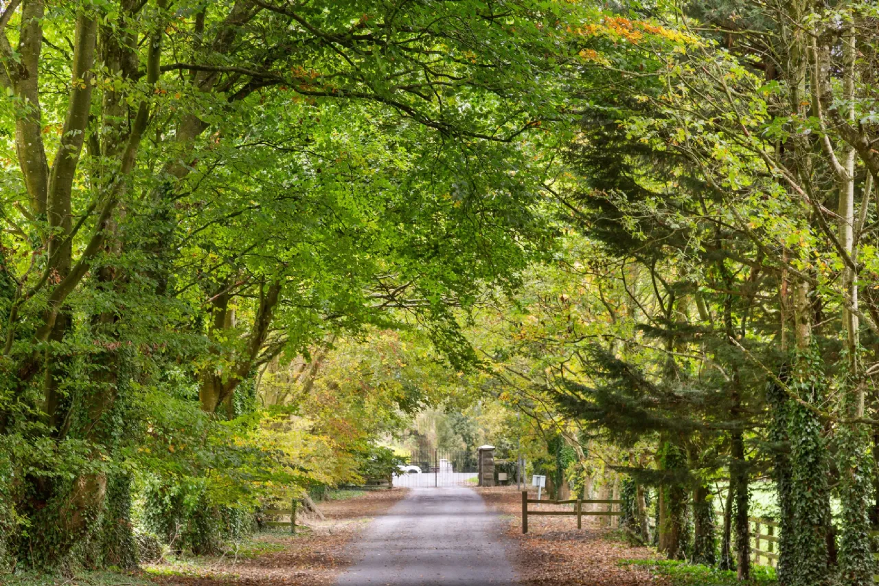 Photo of Lot 3 - Rockwell Farm (The Entire), Approx. 329.2 Ha (813.5 Acres), Cashel, County Tipperary, E25 F886