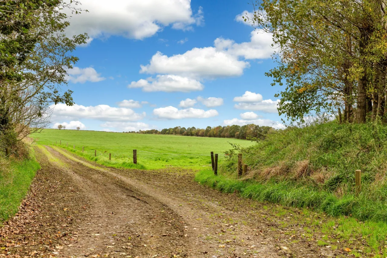 Photo of Lot 3 - Rockwell Farm (The Entire), Approx. 329.2 Ha (813.5 Acres), Cashel, County Tipperary, E25 F886